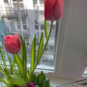 Meet your Posher, Sandra